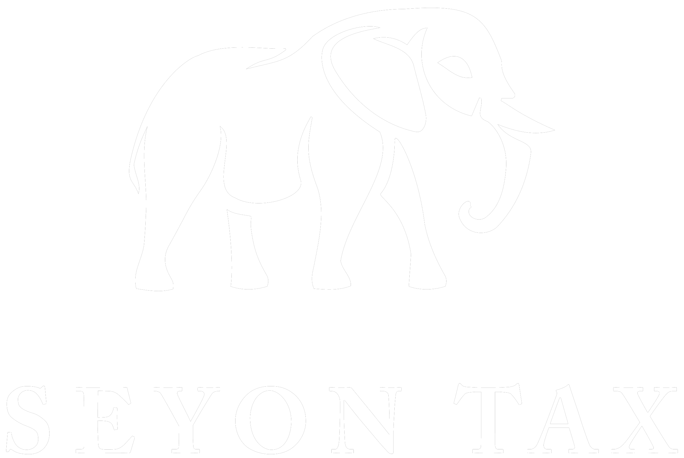 Seyon Tax